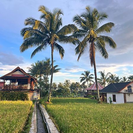 Rice Field Inn - Lombok تيتيباتو المظهر الخارجي الصورة
