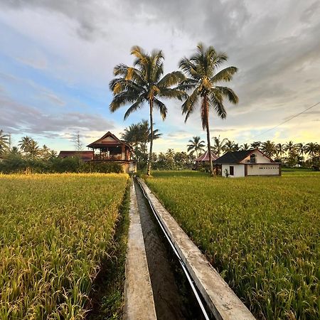 Rice Field Inn - Lombok تيتيباتو المظهر الخارجي الصورة