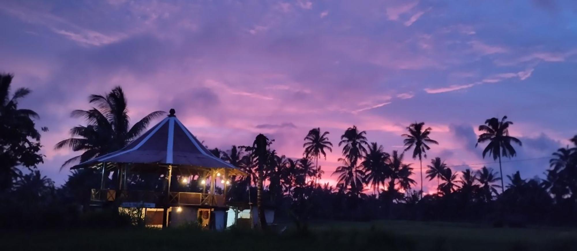 Rice Field Inn - Lombok تيتيباتو المظهر الخارجي الصورة
