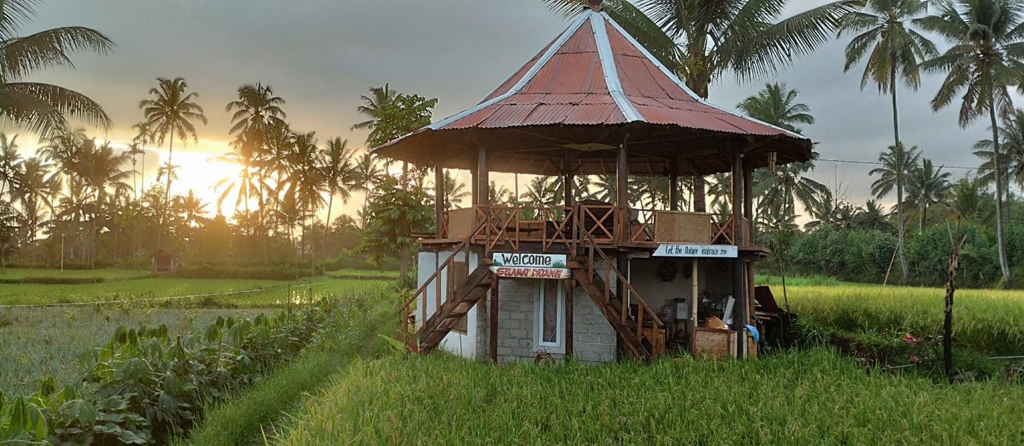Rice Field Inn - Lombok تيتيباتو المظهر الخارجي الصورة