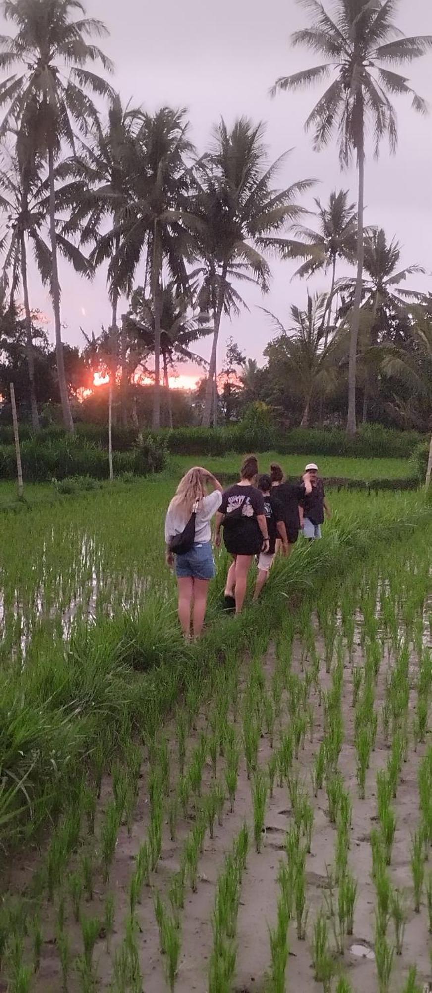 Rice Field Inn - Lombok تيتيباتو المظهر الخارجي الصورة