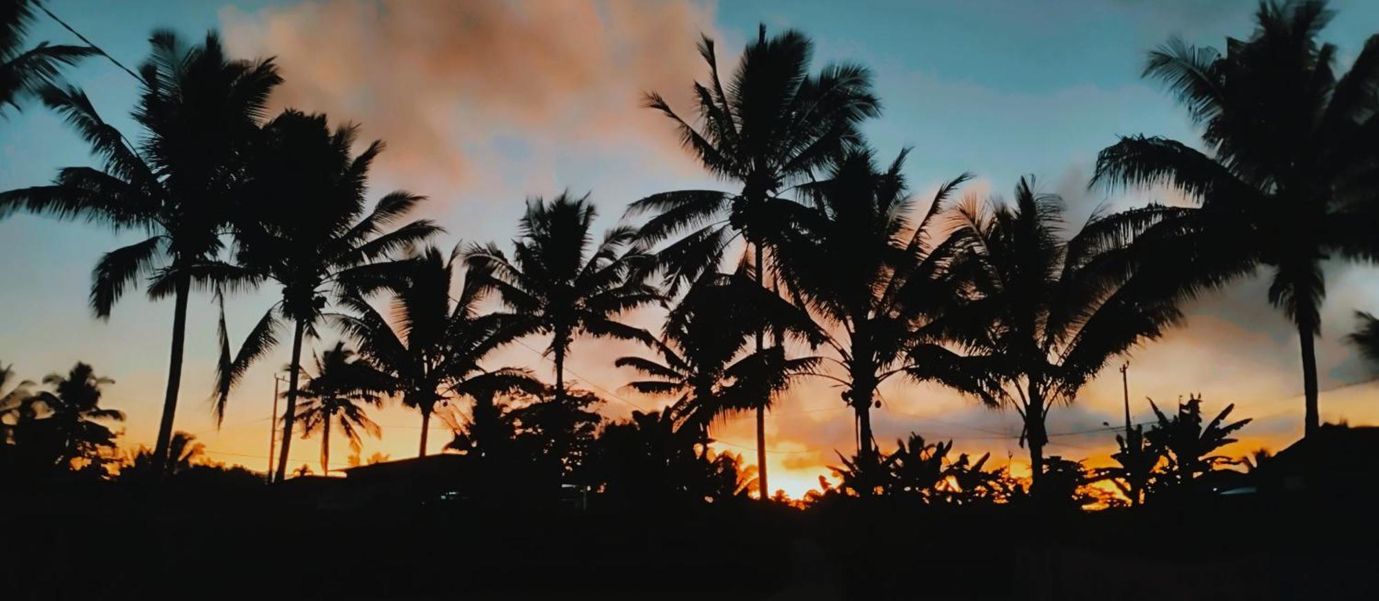 Rice Field Inn - Lombok تيتيباتو المظهر الخارجي الصورة