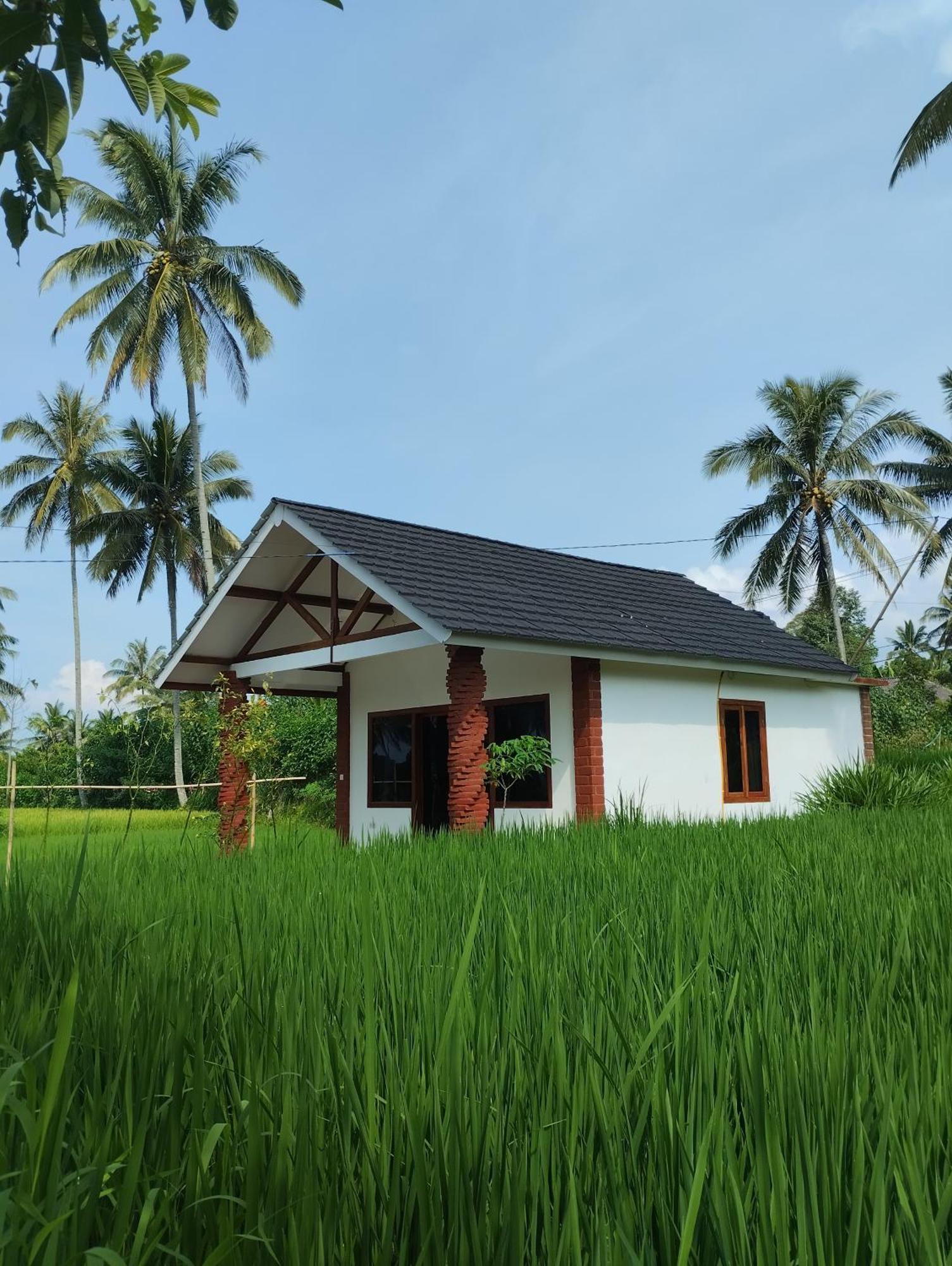 Rice Field Inn - Lombok تيتيباتو الغرفة الصورة