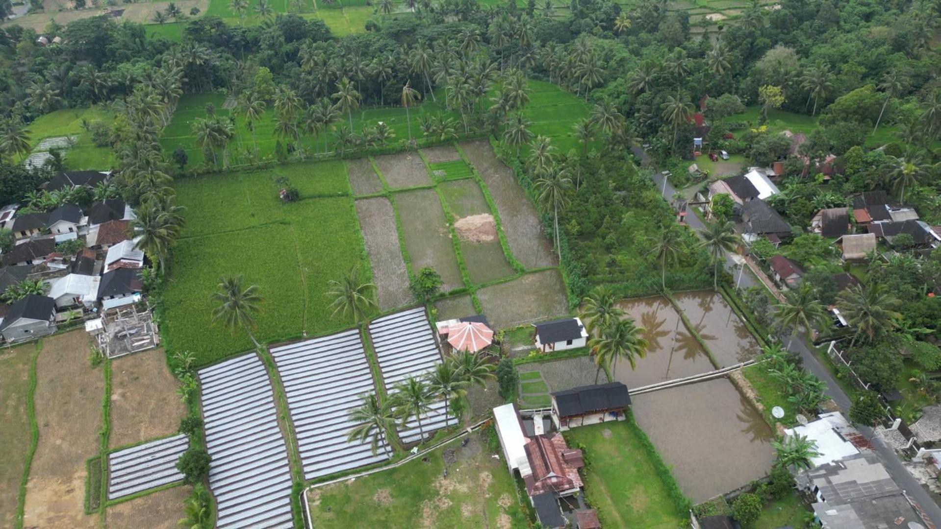 Rice Field Inn - Lombok تيتيباتو المظهر الخارجي الصورة