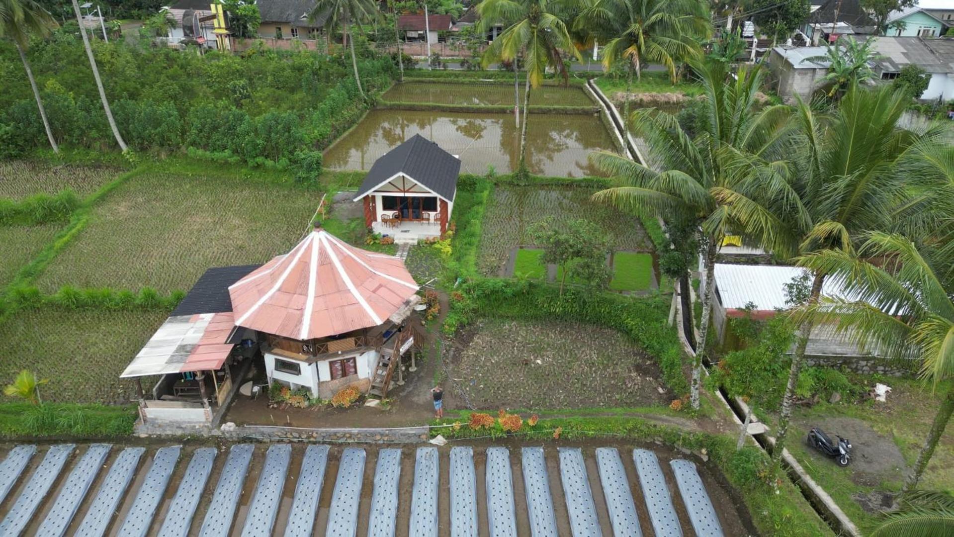 Rice Field Inn - Lombok تيتيباتو المظهر الخارجي الصورة