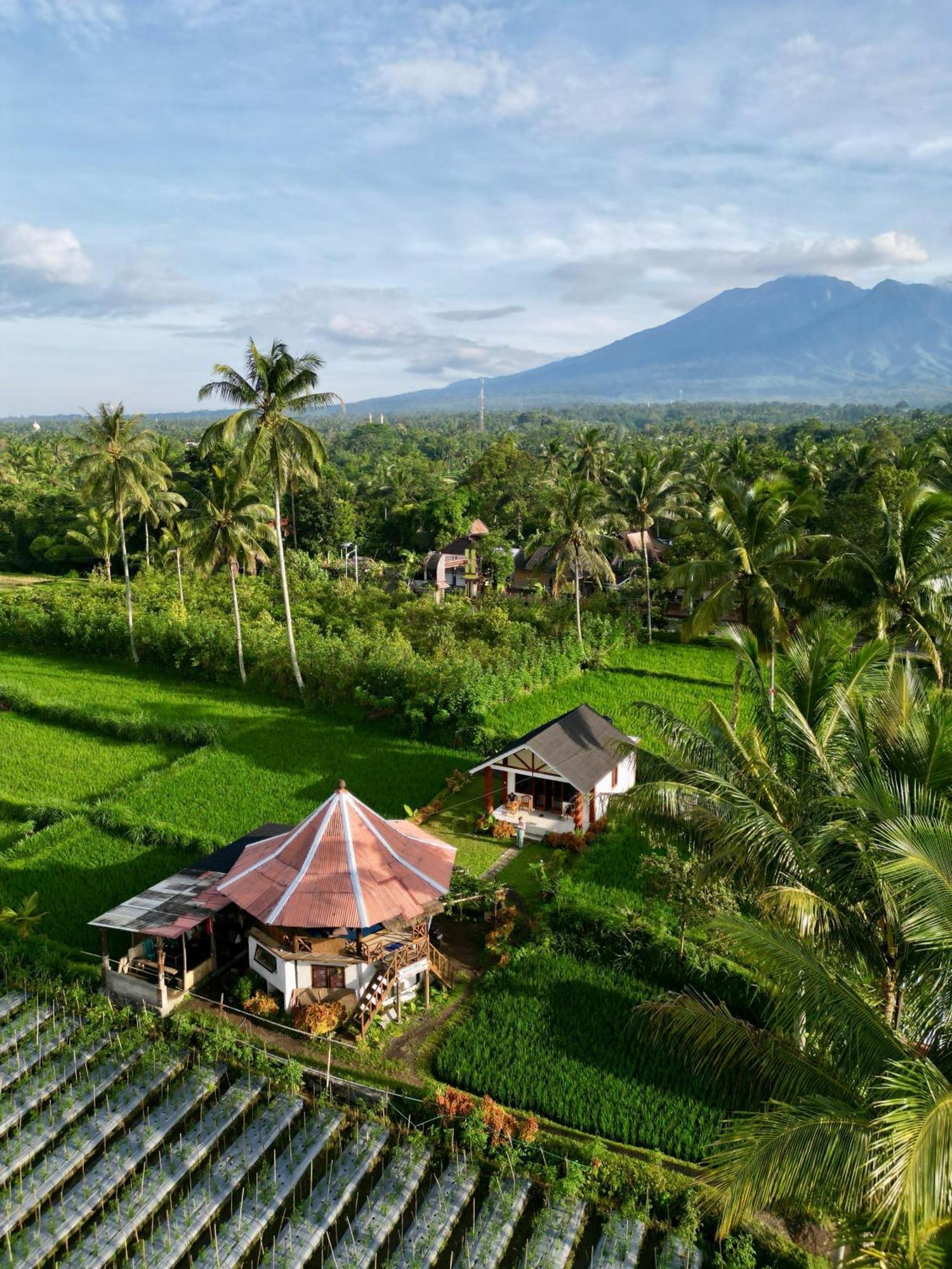 Rice Field Inn - Lombok تيتيباتو المظهر الخارجي الصورة