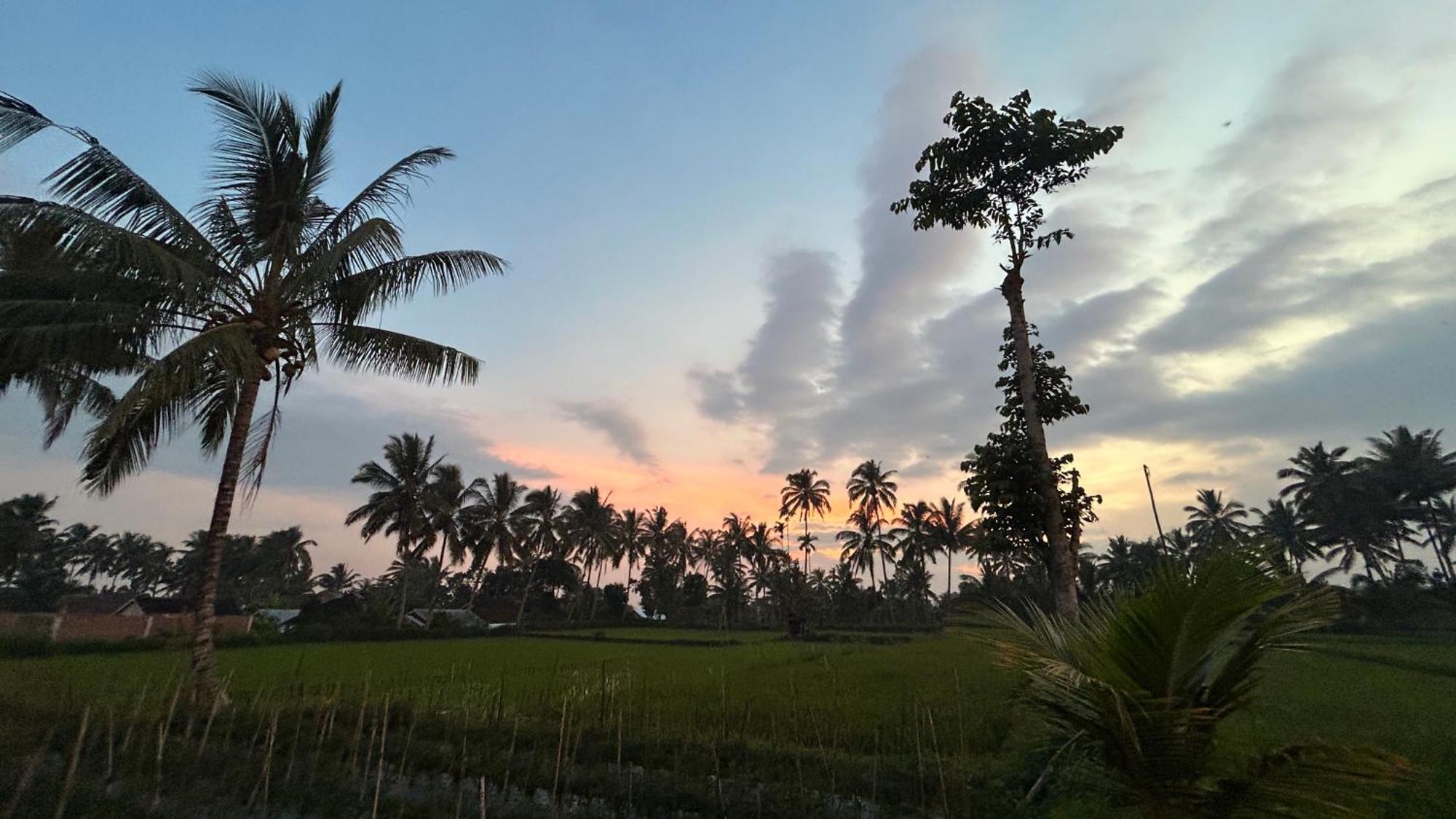 Rice Field Inn - Lombok تيتيباتو المظهر الخارجي الصورة