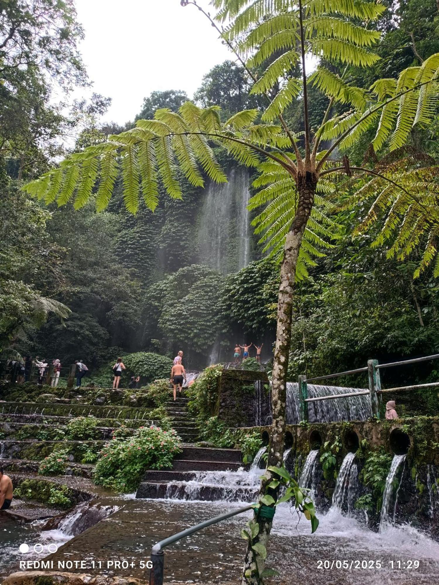 Rice Field Inn - Lombok تيتيباتو المظهر الخارجي الصورة